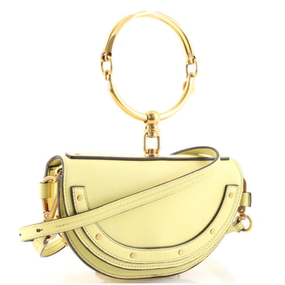 - Chloe Nile bag